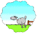sheep.gif